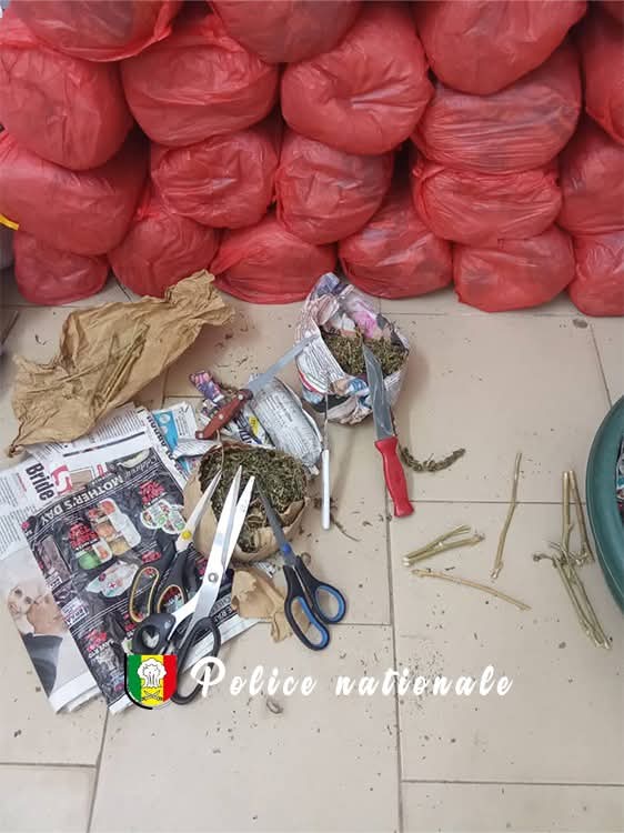 Trafic international de drogue, offre et cession de drogue à Guinaw Rails-  Un individu tombe dans les filets de la police avec 28 kgs de chanvre indien