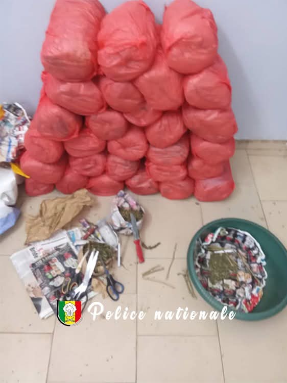 Trafic international de drogue, offre et cession de drogue à Guinaw Rails-  Un individu tombe dans les filets de la police avec 28 kgs de chanvre indien