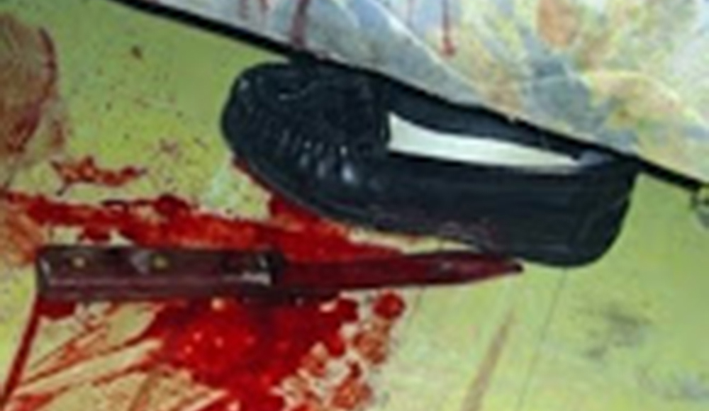 Ce que l'on  sait du franco-libanais et de l' autrichien retrouvés morts poignardés  sur la rue Carnot  Ce que l'on  sait du franco-libanais et de l' autrichien retrouvés morts poignardés  sur la rue Carnot