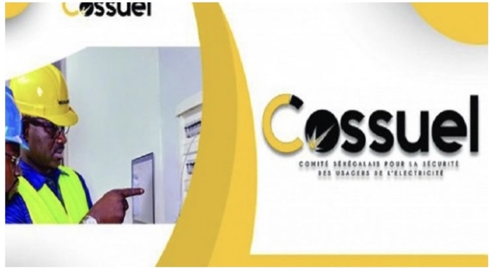 Cossuel, NSIA, Senelec : un trou de 2,2 milliards dans les câbles !
