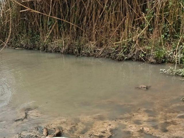 Chavirement tragique sur le fleuve Sénégal : un septuagénaire perd la vie près de l'île Bagdad