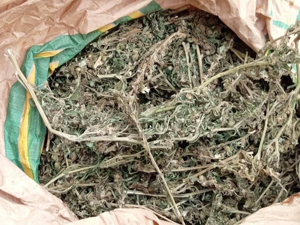  Des billets noirs d’une contrevaleur de près de 1milliard 123 millions en francs CFA saisis à Ziguinchor