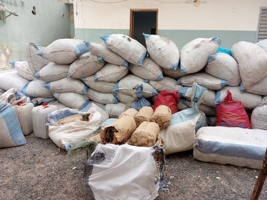  Des billets noirs d’une contrevaleur de près de 1milliard 123 millions en francs CFA saisis à Ziguinchor