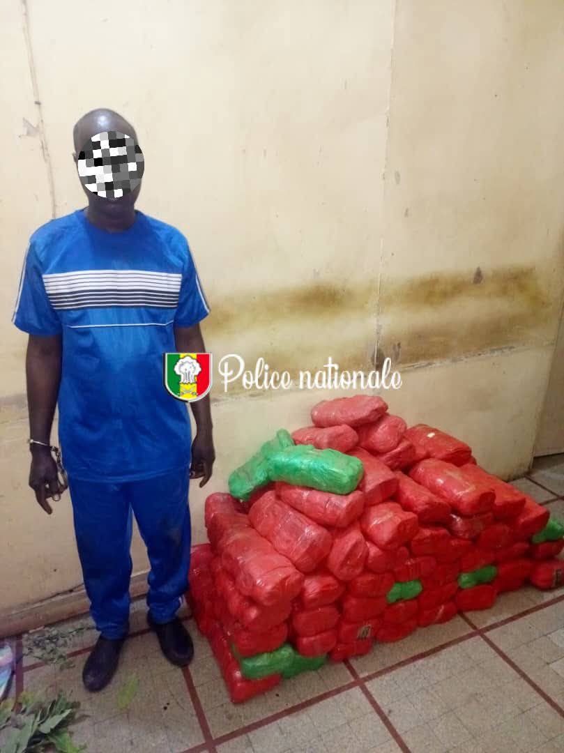 Kaolack : 82 kg de chanvre indien saisis à Keur Laly, un convoyeur interpellé, deux autres activement recherchés...