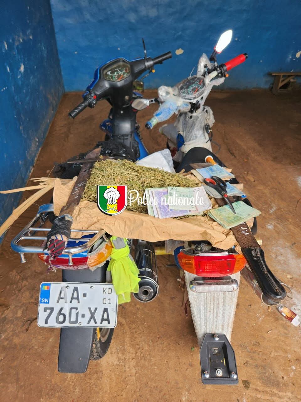  Kolda : 5 personnes arrêtées pour trafic de drogue et détention d’armes