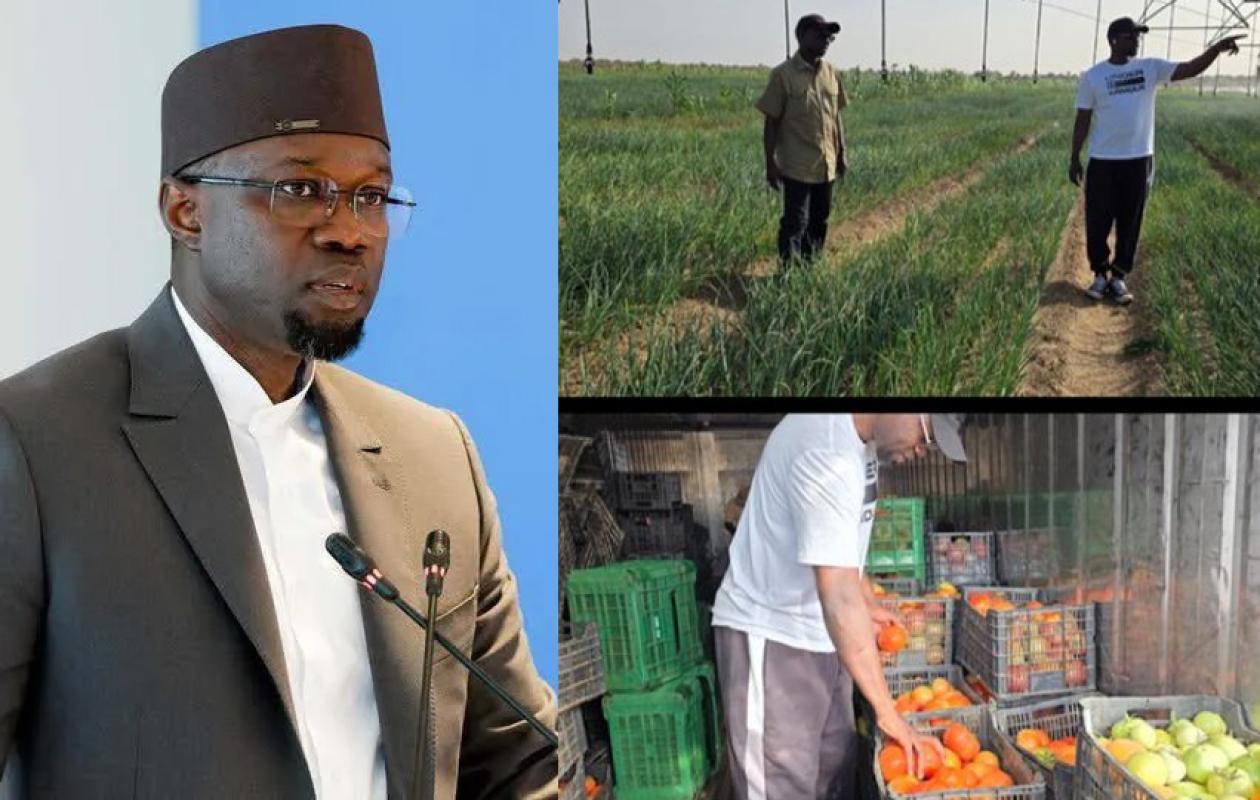 "J’ai passé une excellente journée dans..." : La sortie de Ousmane Sonko après les propos de Diomaye Faye