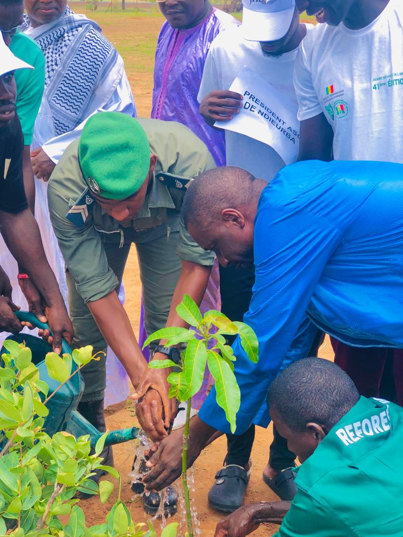 PODOR - Commune de  FANAYE-  Ndieurba Vert, une ferme qui prépare le Sénégal de demain