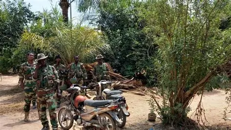 Casamance : l’armée sénégalaise frappe fort contre les trafiquants