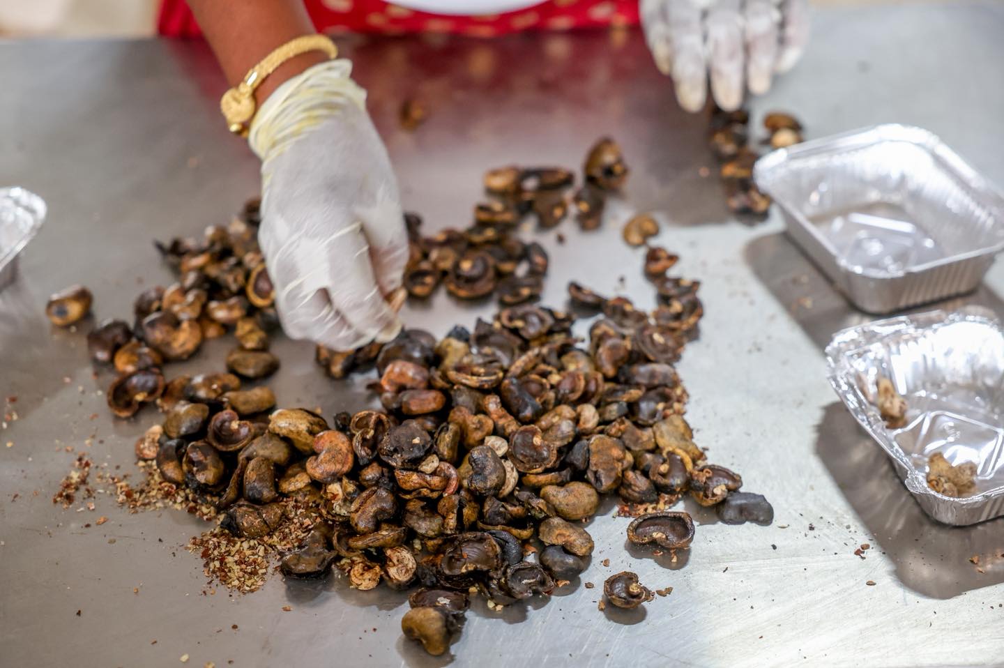Le Président de la République, Bassirou Diomaye Faye,  inaugure le parc agro-industriel de Kolda