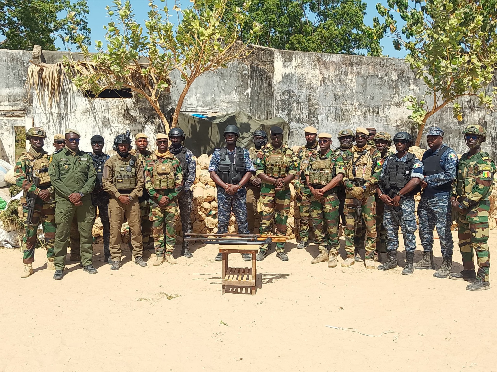 Plus de 6 tonnes de chanvre indien d'une contre-valeur de plus de 400 millions de CFA, 14 rebelles arrêtés et des armes saisies : les Armées intensifient la lutte dans le Nord Sindian (FDS TV)