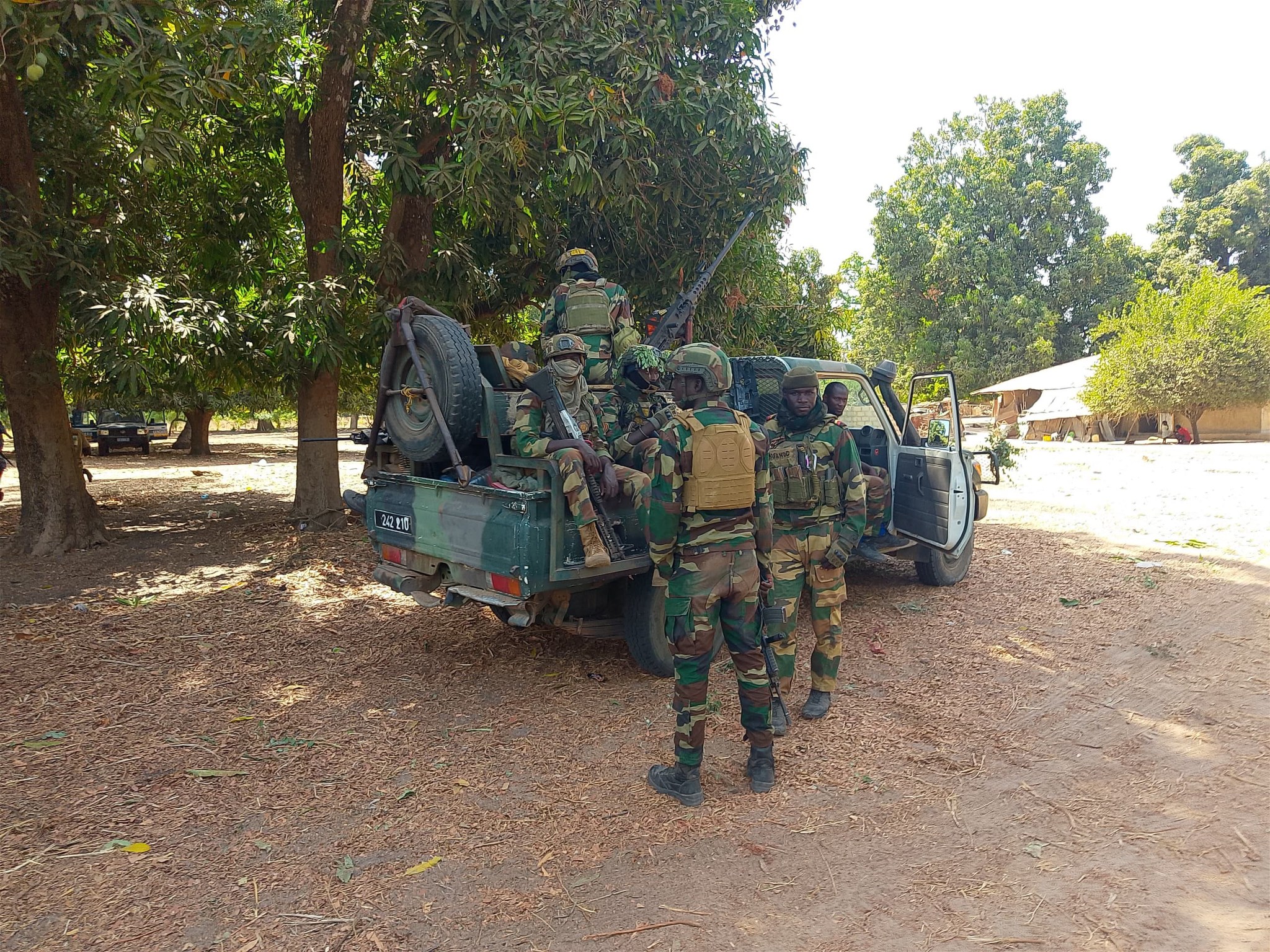 Plus de 6 tonnes de chanvre indien d'une contre-valeur de plus de 400 millions de CFA, 14 rebelles arrêtés et des armes saisies : les Armées intensifient la lutte dans le Nord Sindian (FDS TV)