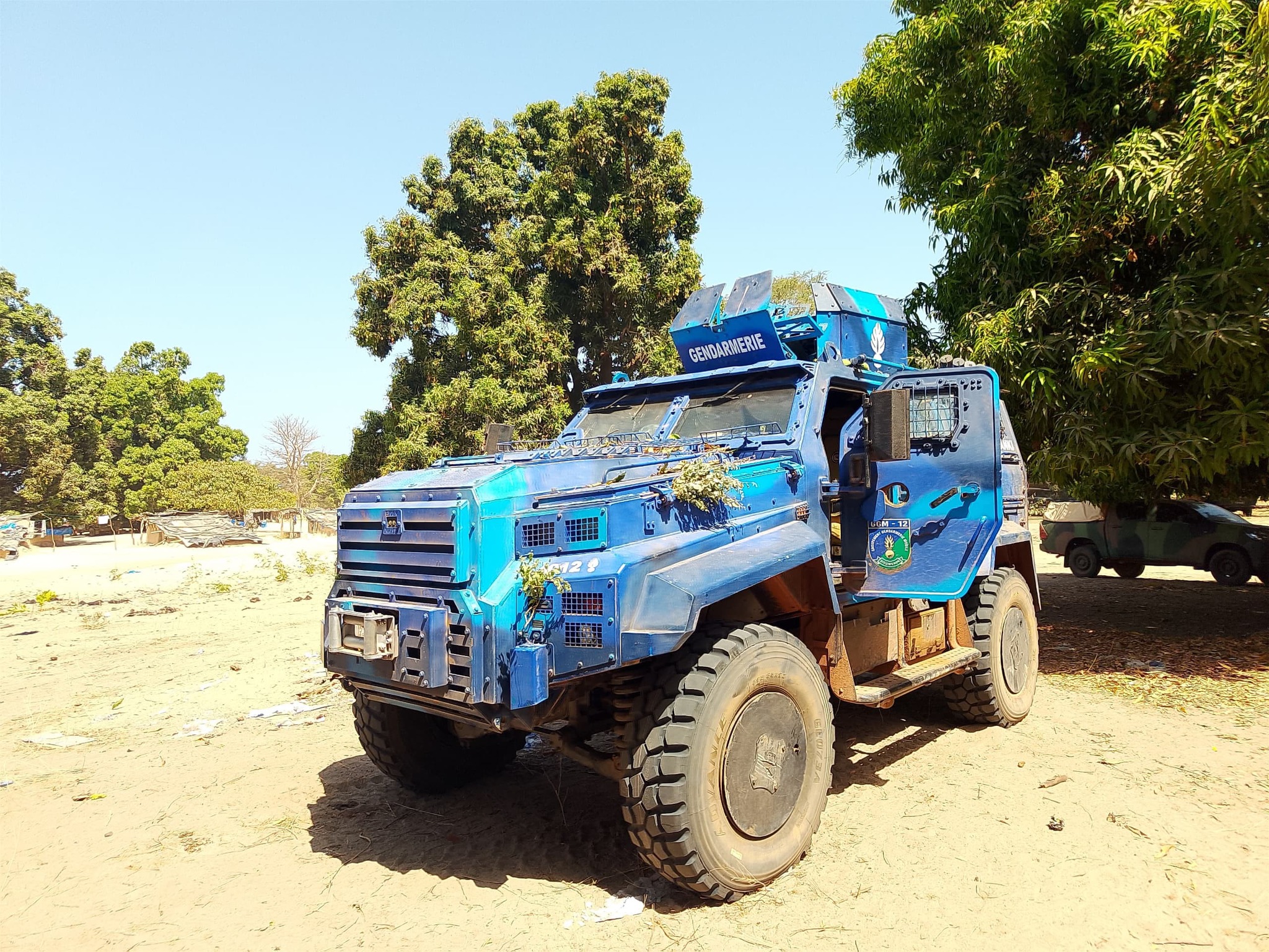 Plus de 6 tonnes de chanvre indien d'une contre-valeur de plus de 400 millions de CFA, 14 rebelles arrêtés et des armes saisies : les Armées intensifient la lutte dans le Nord Sindian (FDS TV)