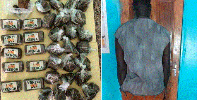 TRAFIC DE DROGUE : UN PASSAGER ARRÊTÉ AVEC 17,5 MILLIONS FCFA DE HASCHICH À KARANG