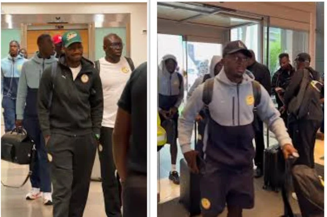 Après leur qualification, les Lions regagnent leur camp de base à New Jersey