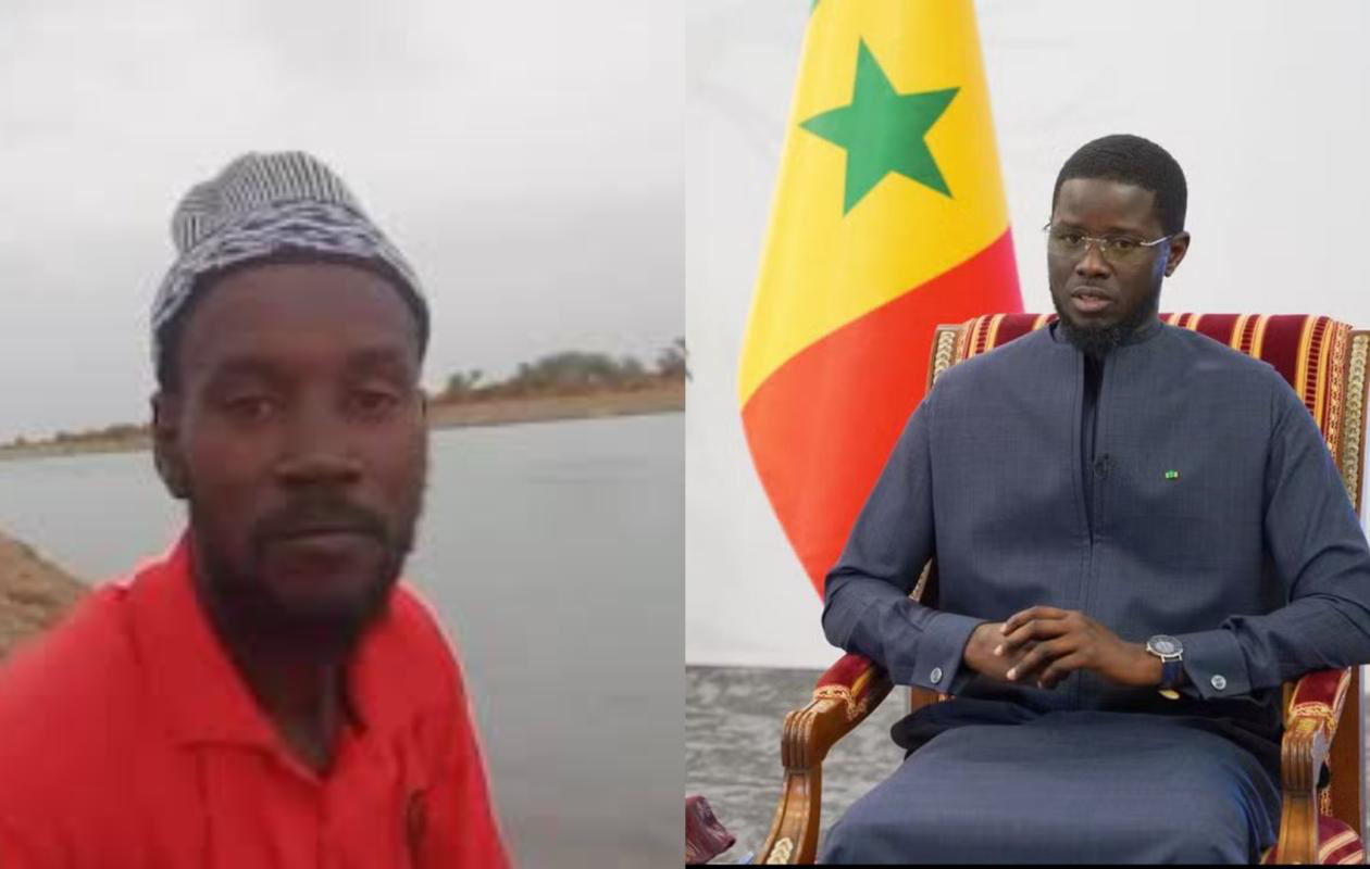 «Diomaye, tu n’es pas f…» : Amadou B. enfonce le clou, les enquêteurs l’envoient…