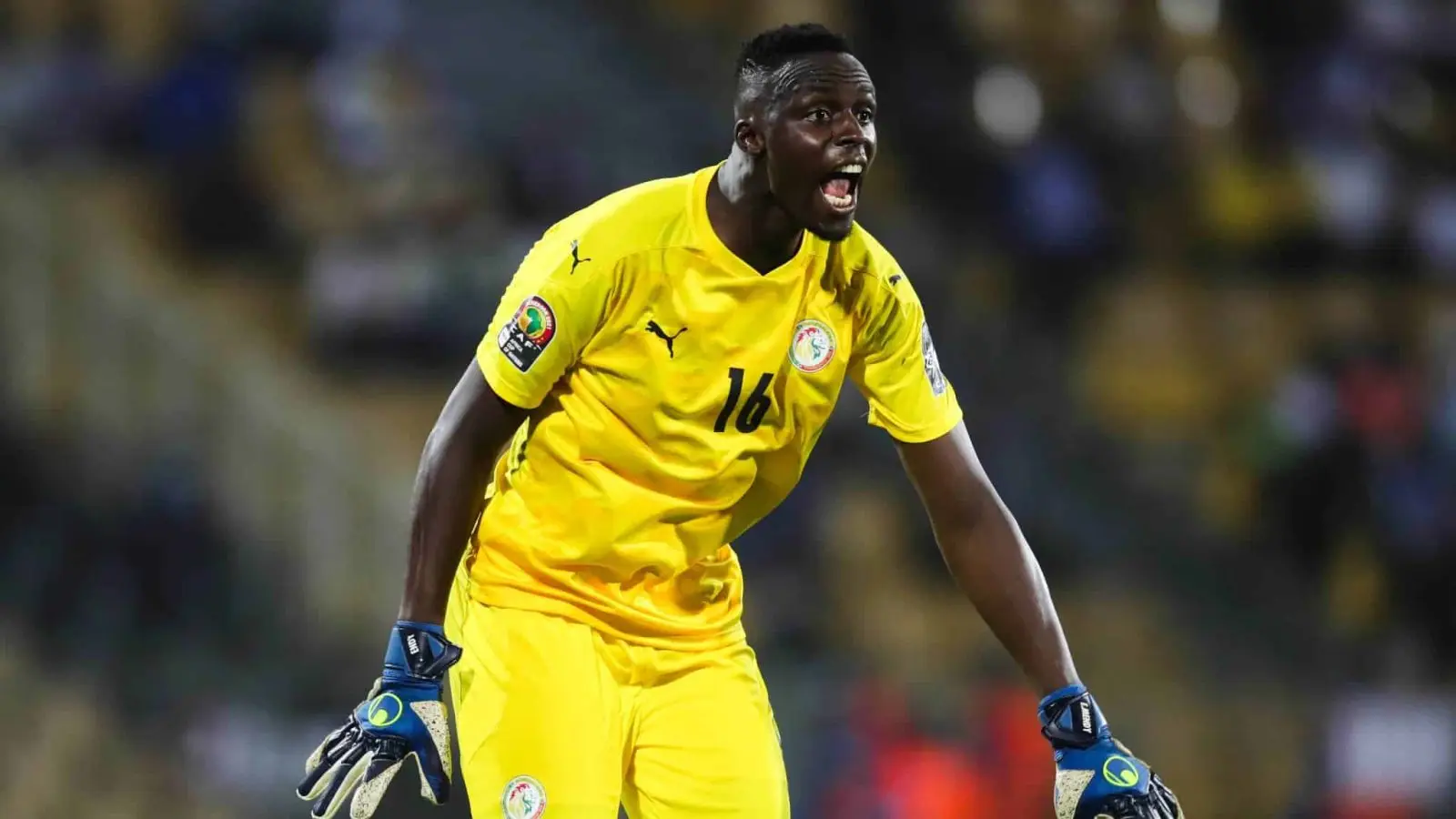 Coupe du monde : nouvelles rassurantes pour Edouard Mendy avant le rendez-vous contre la Belgique