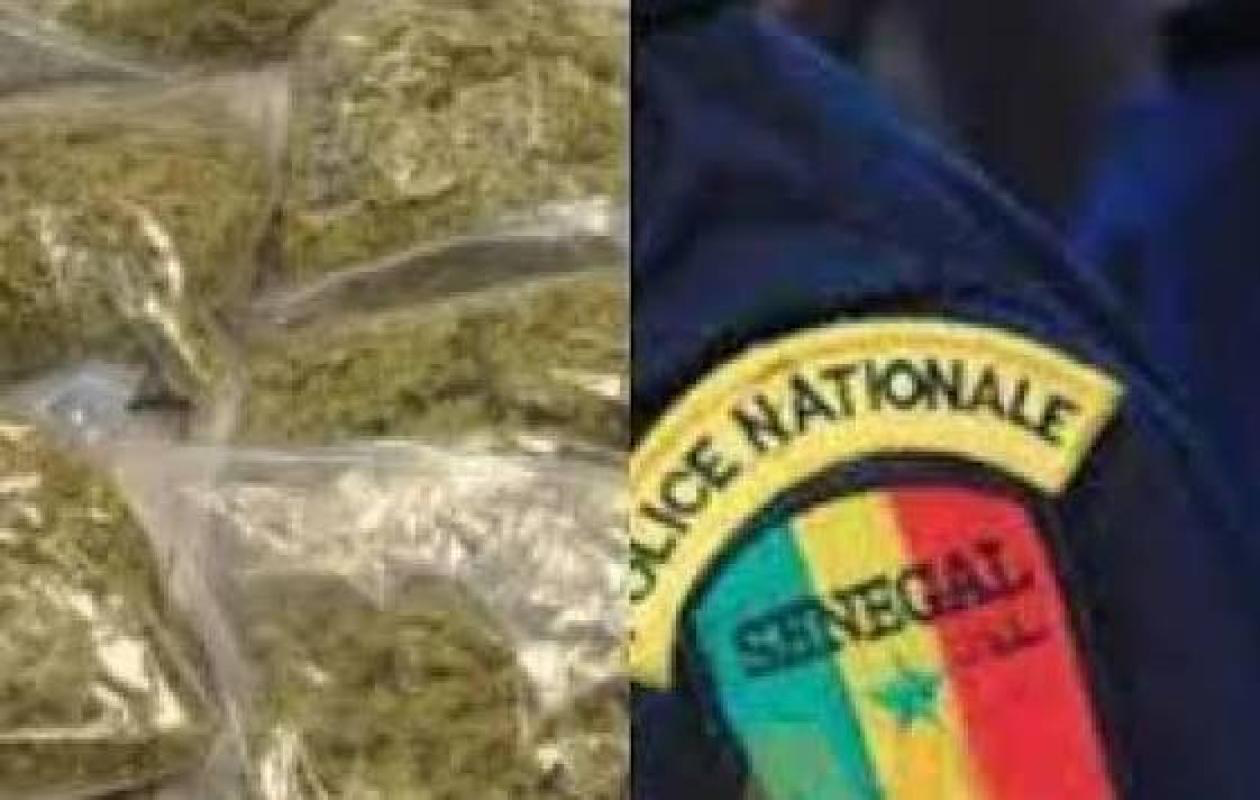 Détention de drogue : Le fils d'un nouveau ministre arrêté par la police de Sicap-Mbao