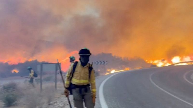 Au moins 12 morts dans un feu de forêt près d'Almeria, dans le sud de l'Espagne