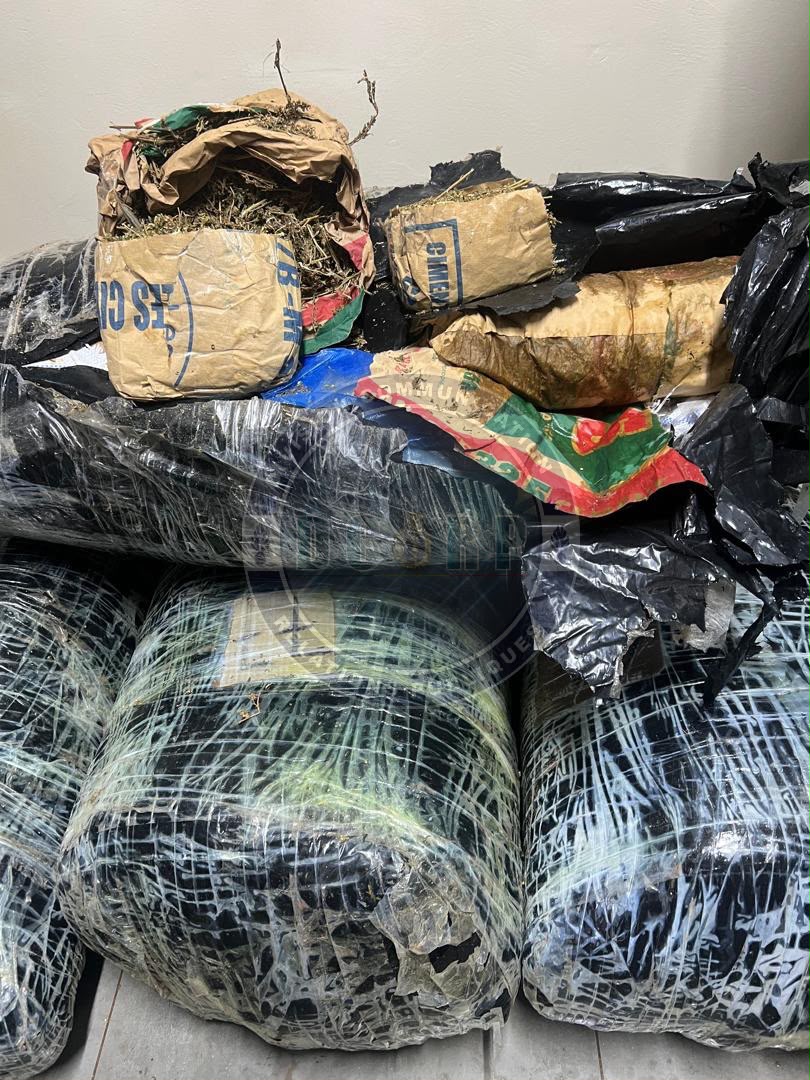 Près de 305 kgs de chanvre indien saisis-Un réseau transnational de trafic de drogue démantelé à Thiaroye par la BR de Keur Massar