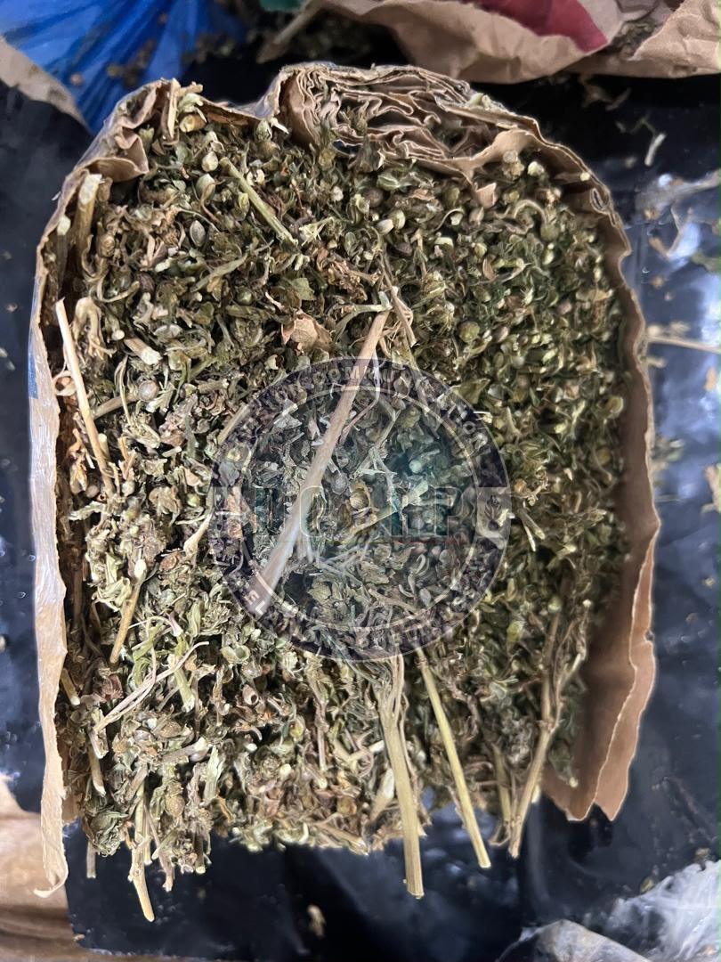 Près de 305 kgs de chanvre indien saisis-Un réseau transnational de trafic de drogue démantelé à Thiaroye par la BR de Keur Massar