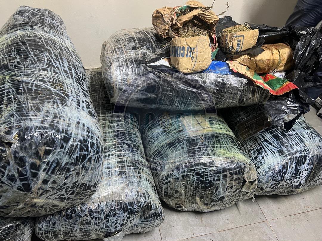 Près de 305 kgs de chanvre indien saisis-Un réseau transnational de trafic de drogue démantelé à Thiaroye par la BR de Keur Massar