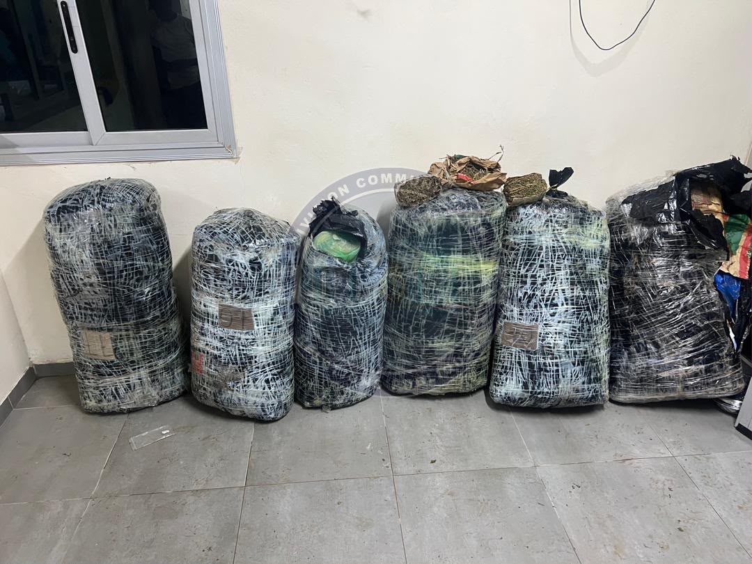 Près de 305 kgs de chanvre indien saisis-Un réseau transnational de trafic de drogue démantelé à Thiaroye par la BR de Keur Massar