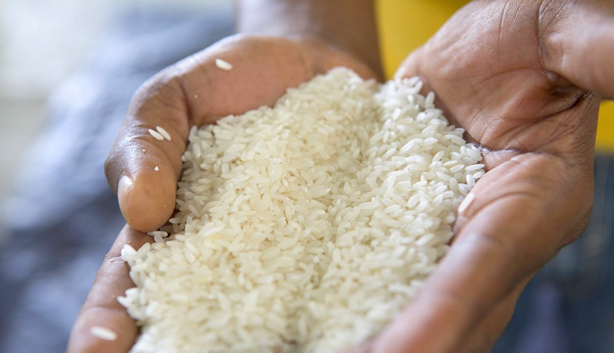 Alerte sanitaire : détection de taux alarmants d'aflatoxines  dans le riz local 