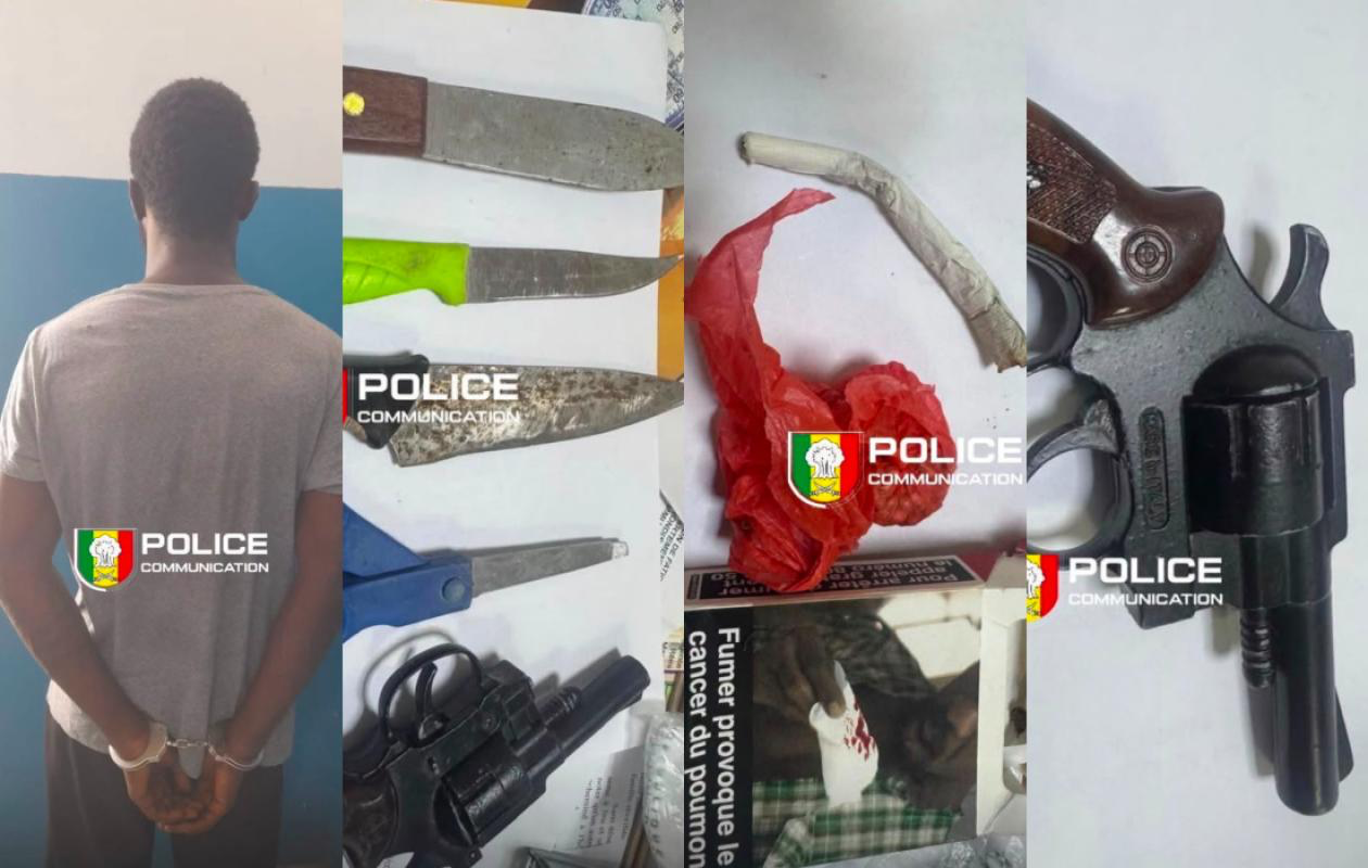 Golf Sud : une patrouille met au jour un revolver et du chanvre indien dans une résidence de la Cité Nations Unies