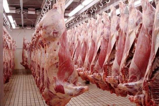 La viande flambe, les promesses s’évaporent : le grand malaise du commerce sénégalais