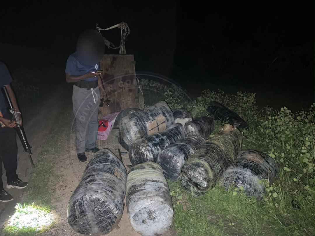 Sécurité républicaine : La gendarmerie de Mbour assène un coup de semonce magistral aux réseaux de narcotrafic à Mbodiène