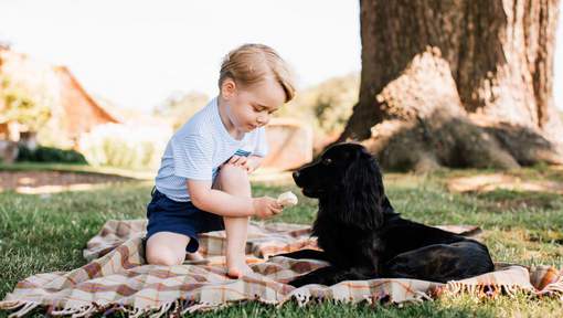 Le Prince George accusé de maltraitance animale pour cette photo