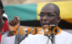 Abdoulaye Diouf Sarr: « …Donner une majorité écrasante à Macky Sall »
