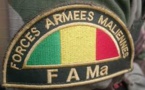 Deux soldats maliens tués dans une attaque à Menaka