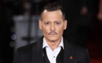 Ruiné, Johnny Depp pourrait être privé de ses propriétés