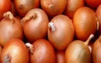 Filière Oignons: Les producteurs sollicitent le soutien de l'Etat (Vidéo) Filière Oignons: Les producteurs sollicitent le soutien de l'Etat (Vidéo)
