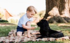 Le Prince George accusé de maltraitance animale pour cette photo
