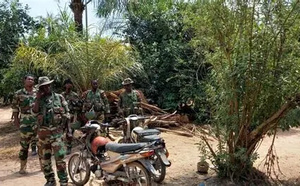 Casamance : l’armée sénégalaise frappe fort contre les trafiquants