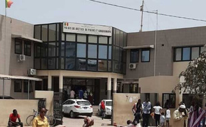 Effondrement d’un mur au Technopole : des serpents s’invitent au tribunal