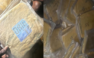 Coup de filet de la DIC : 53 kg de chanvre indien saisis, deux trafiquants déférés au parquet