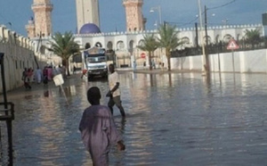 Inondations à Touba : Darou Khadim et Kawsara noyés dans le désespoir