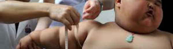 Incroyable,mais vrai !          Il n’a que 3 ans et il pèse déjà 70 kilos!