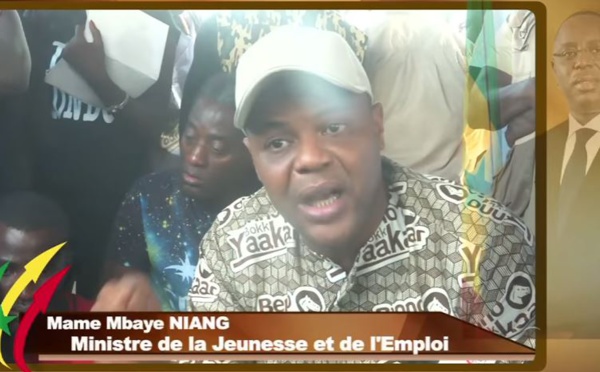 Les bonnes raisons de voter la liste Bby, selon Mame Mbaye Niang et Amadou Ba