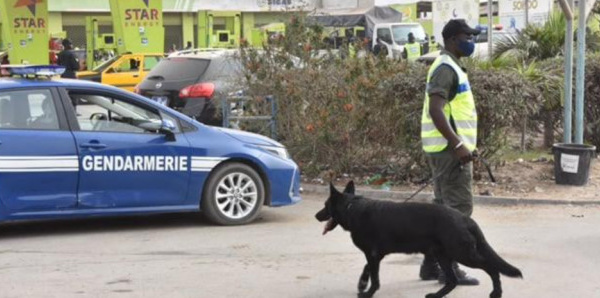 Lutte contre le banditisme: La descente fructueuse de la gendarmerie