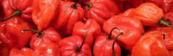 Le piment : un nouvel aliment anti-cholestérol ?