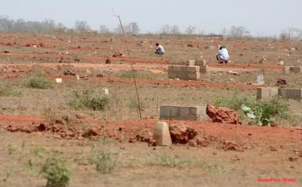 BRADAGE DE TERRAINS: L’ÉQUATION DU FONCIER AU SÉNÉGAL