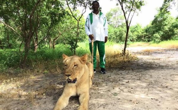 Photos:le ministre  Mary Teuw Niane se promène avec des lions