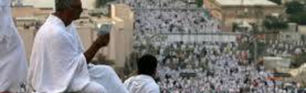 Les chiffres du "Hajj"
