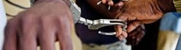 Opérations OCRTIS : 14 arrestations et saisies importantes au marché Castors