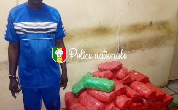 Kaolack : 82 kg de chanvre indien saisis à Keur Laly, un convoyeur interpellé, deux autres activement recherchés...