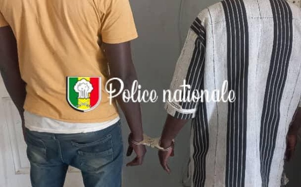 Fatick – Détournement d'engrais subventionnés : deux individus arrêtés 
